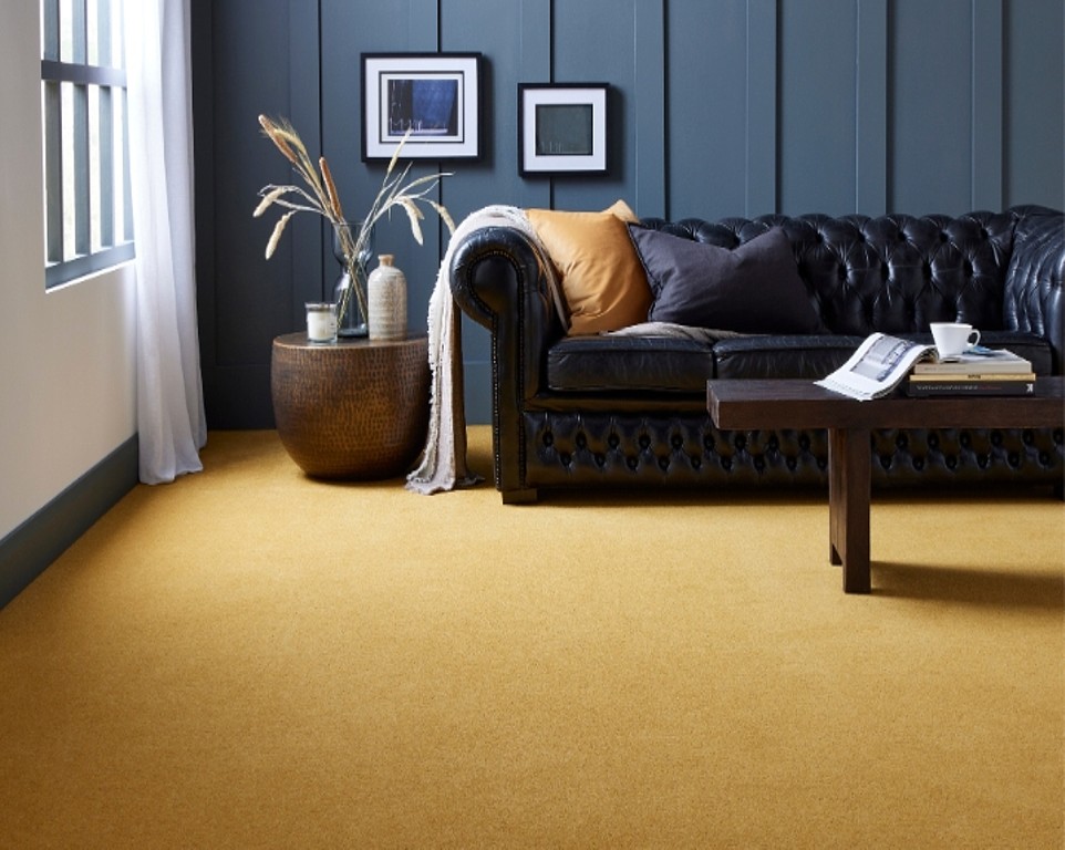 Hugh Mackay Carpets Image